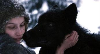 法国电影狼在线观看,法国惊悚电影，在线惊悚体验  第1张