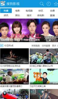 电影在线观看搜狗影视,电影在线观看，尽享视听盛宴  第2张